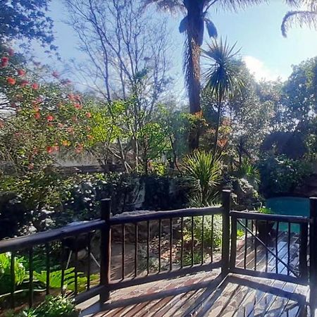 Pantera Lodge & Cheetah Cottage Johannesburgo Exterior foto